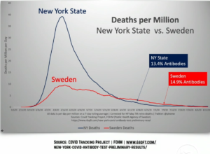 Yinon herd immunity comparison NY and Swedes