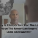 Why Is It Important For Left To Have The American Negro To Look Back